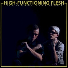 A Unity Of Miseries - A Misery Of Unities mp3 Album by High-Functioning Flesh