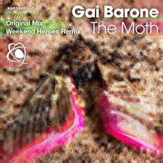 The Moth mp3 Single by Gai Barone
