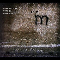 Big Picture mp3 Album by Trio M