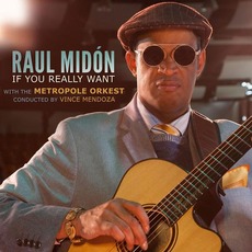 If You Really Want mp3 Album by Raul Midón