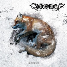 Consumed mp3 Album by Voice Of Ruin