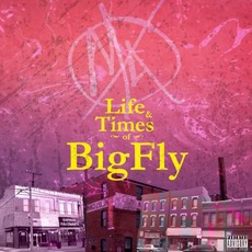 Life & Times Of BigFly mp3 Album by Big Kahuna OG & Fly Anakin