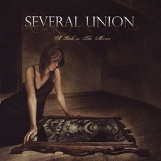 A Look in the Mirror mp3 Album by Several Union