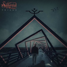 Triage mp3 Album by Synovial