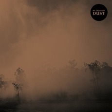 Dust mp3 Album by Mt. Mountain