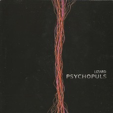 Psychopuls mp3 Album by Lizard (2)