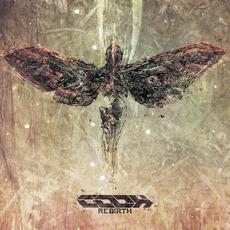 ReBirth mp3 Album by Cooh