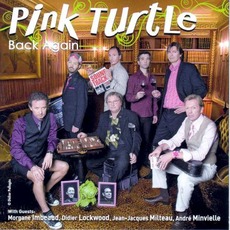 Back Again mp3 Album by Pink Turtle