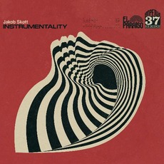 Instrumentality mp3 Album by Jakob Skøtt