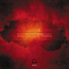 Dans L'Oeil De La Tempête (Expanded & Remastered) mp3 Album by Handful Of Snowdrops