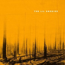 The Lil Smokies mp3 Album by The Lil Smokies