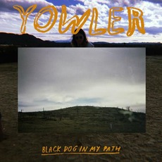 Black Dog in My Path mp3 Album by Yowler
