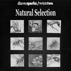 Natural Selection mp3 Album by Dave Sparkz & Wun Two
