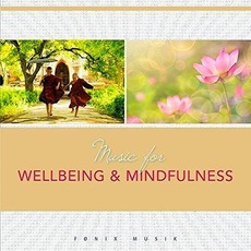 Music For Wellbeing & Mindfulness mp3 Album by Frantz Amathy
