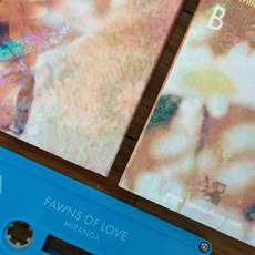 Miranda / Girls mp3 Single by Fawns of Love