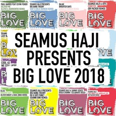 Seamus Haji Presents Big Love 2018 mp3 Compilation by Various Artists