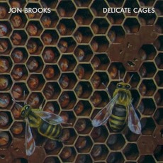 Delicate Cages mp3 Album by Jon Brooks