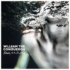 Bleeding On The Soundtrack mp3 Album by William the Conqueror