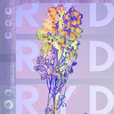 RYD mp3 Album by RYD