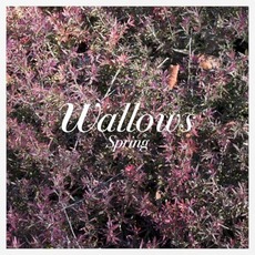 Spring mp3 Album by Wallows