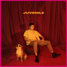 Juvenile mp3 Album by Hugo Helmig