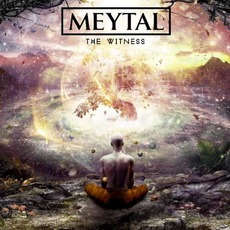The Witness mp3 Album by Meytal