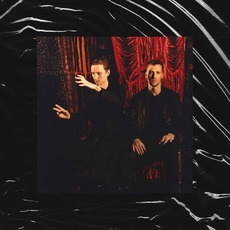 Inside the Rose mp3 Album by These New Puritans