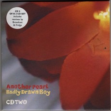 Another Pearl (CD2) mp3 Single by Badly Drawn Boy