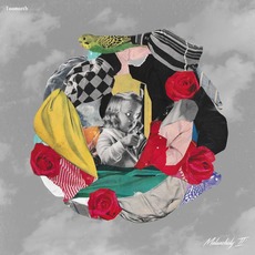 Melancholy, Pt. 2 mp3 Album by Toonorth
