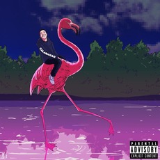 Flamingo mp3 Single by Token