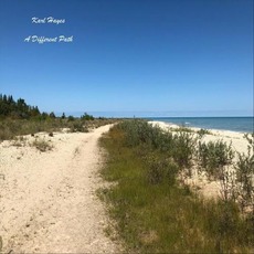 A Different Path mp3 Album by Karl Hayes
