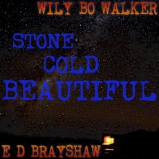 Stone Cold Beautiful mp3 Album by Wily Bo Walker & E D Brayshaw