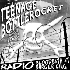 Teenage Bottlerocket / The Prototipes mp3 Compilation by Various Artists