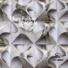 Realism mp3 Album by Rhys Fulber