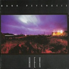 Hex mp3 Album by Bark Psychosis