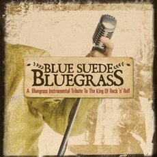 Blue Suede Bluegrass mp3 Album by Craig Duncan