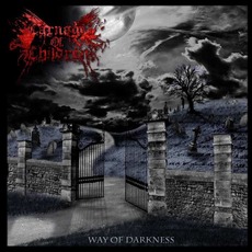 Way of Darkness mp3 Album by Carnage Of Children