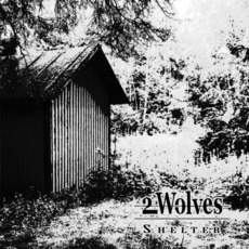 Shelter mp3 Album by 2 Wolves