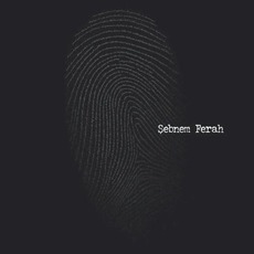Parmak İzi mp3 Album by Şebnem Ferah