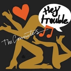 Hey Trouble mp3 Album by The Concretes