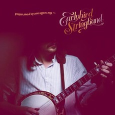 The Walls Are in Your Mind mp3 Album by Earlybird Stringband