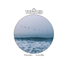 Ocean Winds mp3 Album by Tuamie