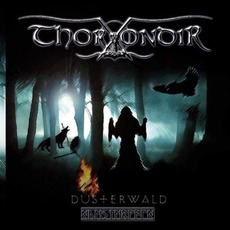 Düsterwald mp3 Album by Thorondir