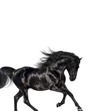 Old Town Road mp3 Single by Lil Nas X