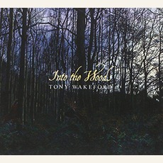 Into the Woods mp3 Album by Tony Wakeford