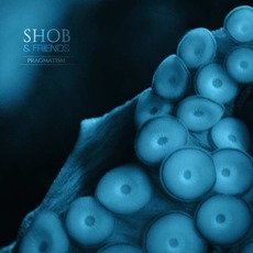 Pragmatism mp3 Album by Sho & Friends