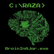Brain In A Jar mp3 Album by Raza