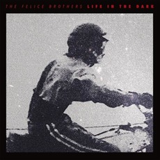 Life in the Dark mp3 Album by The Felice Brothers