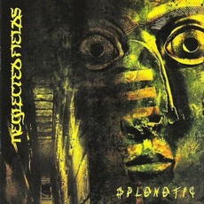 Splenetic mp3 Album by Neglected Fields