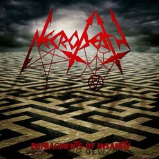 Defragments Of Insanity mp3 Album by Necrodeath